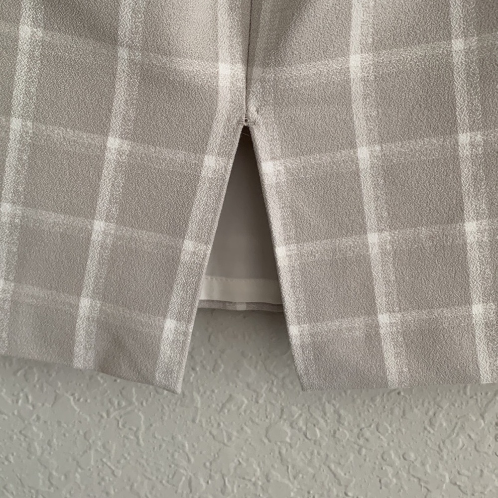 Express Skirt 00 - Picture 7 of 11